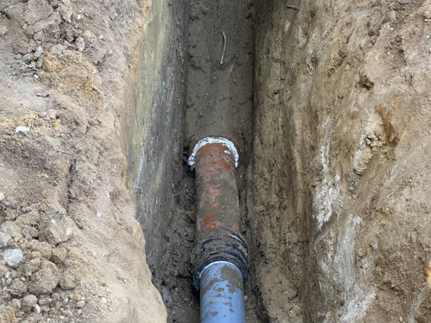 Best Flood damage cleanup  in Irvington, NY