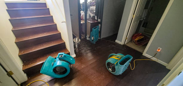 Best Basement water damage restoration  in Irvington, NY