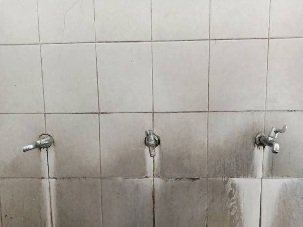 Best 24-hour water damage restoration  in Irvington, NY