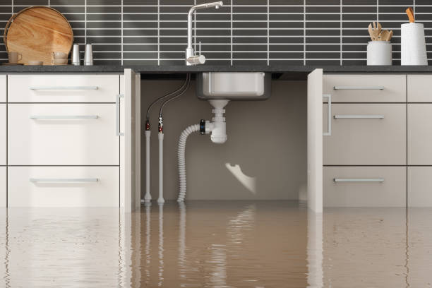 Best Water damage restoration near me  in Irvington, NY